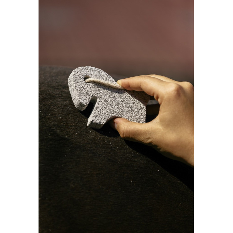 Pietra abrasiva Hippotonic Cavallo