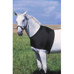 Protezione per spalle Equithème Protezione per spalle Equithème