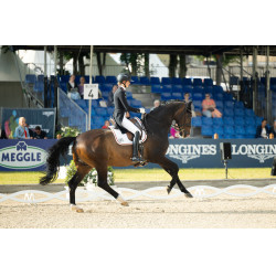 Pantaloni Pikeur Laure full grip donna Bianco Pantaloni Pikeur Laure full grip donna Bianco