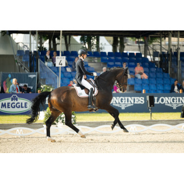 Pantaloni Pikeur Laure full grip donna Pantaloni Pikeur Laure full grip donna