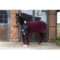 Fasce da polo Eskadron Mora Bordeaux