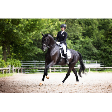 Casco da equitazione Abus Airluxe Supreme Nero