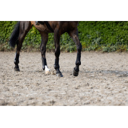 Paranocche anteriori Eskadron Nero