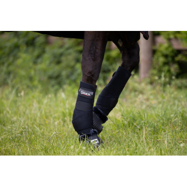Stinchiere anteriori Eskadron Pro Active Stinchiere anteriori Eskadron Pro Active