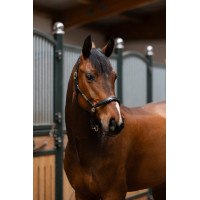 Capezzina in cuoio Eskadron Elegance Nero Capezzina in cuoio Eskadron Elegance Nero