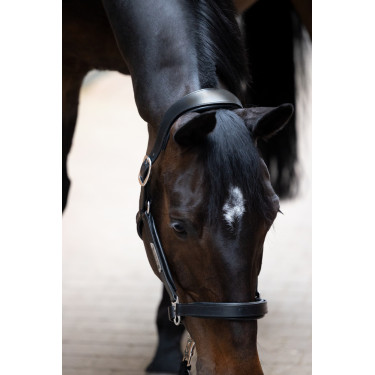 Capestro in cuoio Eskadron Stallion Capestro in cuoio Eskadron Stallion
