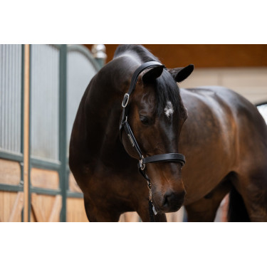 Capestro in cuoio Eskadron Stallion Capestro in cuoio Eskadron Stallion