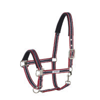 Capezzina Eskadron con fibbia Ciliegia / bianco / blu notte Multicolore