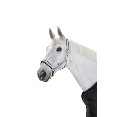 Capezzina Eskadron con fibbia Ghiaccio / bianco / pietra Blu