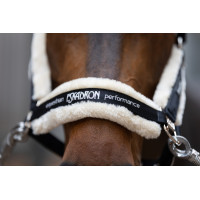 Capestro Eskadron pelliccia sintetica doppia fibbia Marrone scuro