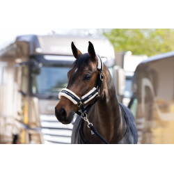 Capestro Eskadron pelliccia sintetica doppia fibbia Nero Capestro Eskadron pelliccia sintetica doppia fibbia Nero