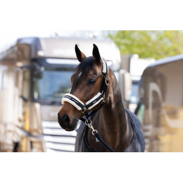 Capestro Eskadron pelliccia sintetica doppia fibbia Nero Capestro Eskadron pelliccia sintetica doppia fibbia Nero