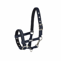 Cavezzina Eskadron puledro Blu notte
