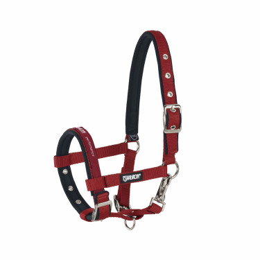 Cavezzina Eskadron puledro Piccante Rosso Cavezzina Eskadron puledro Piccante Rosso