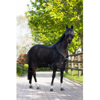 Capestro e maschera anti-mosche Eskadron Nero Capestro e maschera anti-mosche Eskadron Nero