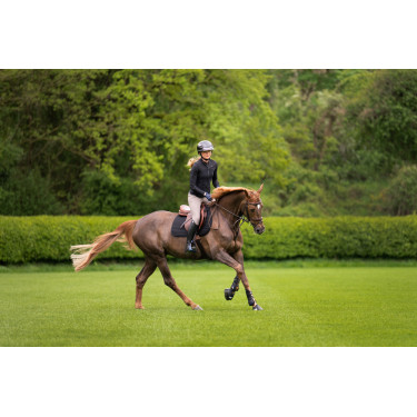 Pantaloni Amia 6805 Pikeur grip alle ginocchia vita media donna Talpa Marrone