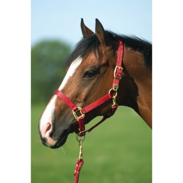 Capezzina Equithème Nylon Capezzina Equithème Nylon