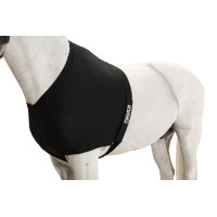 Spalliera Eskadron Dynair Mesh Nero