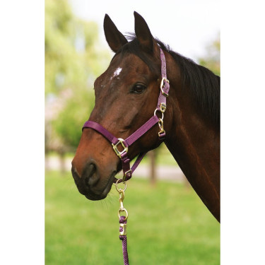 Capezzina Equithème Nylon Capezzina Equithème Nylon