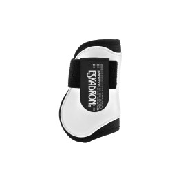Paratendini posteriori Eskadron Compact