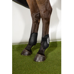 Paratendini posteriori Eskadron Compact Nero