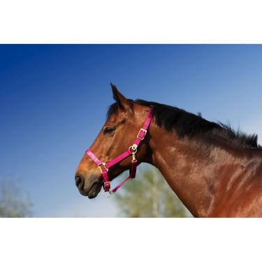 Capezzina Equithème Nylon Capezzina Equithème Nylon