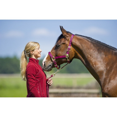 Capezzina Equithème Nylon Capezzina Equithème Nylon