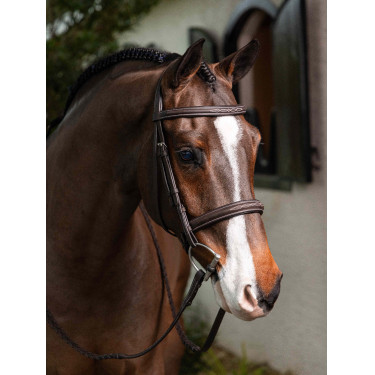 Briglia Hunter con lacci LeMieux Briglia Hunter con lacci LeMieux