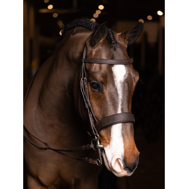 Briglia piatta Hunter LeMieux con redini intrecciate Briglia piatta Hunter LeMieux con redini intrecciate