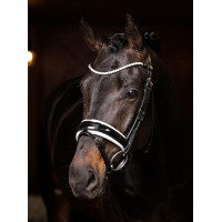 Frontalino LeMieux Ice Blue...