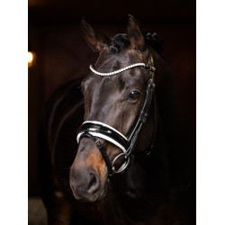 Frontalino LeMieux Ice Blue Crystal