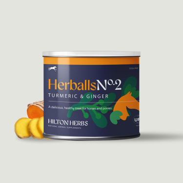Bocconcini per cavalli curcuma e zenzero Hilton Herbs