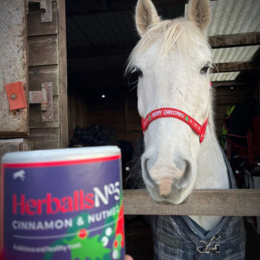 Herballs n. 5 Cannella & Noce moscata Hilton Herbs Herballs n. 5 Cannella & Noce moscata Hilton Herbs