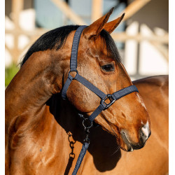 Capestro e lunghina Amigo Horseware