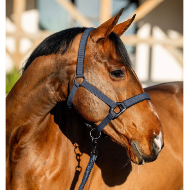 Capestro e lunghina Amigo Horseware Capestro e lunghina Amigo Horseware