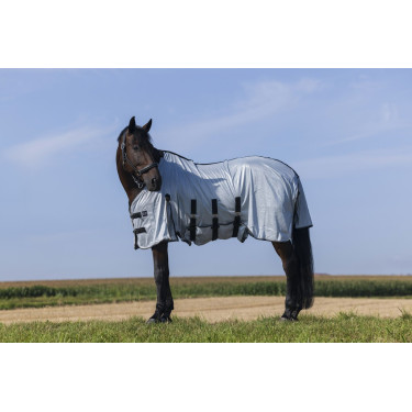 Camicia Riding World Belly Mesh Camicia Riding World Belly Mesh