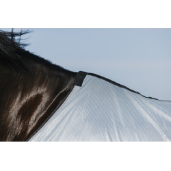 Camicia Riding World Belly Mesh Camicia Riding World Belly Mesh
