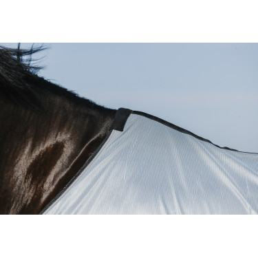 Camicia Riding World Belly Mesh Camicia Riding World Belly Mesh