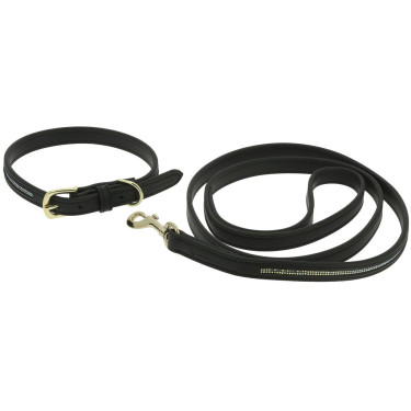 Collare e guinzaglio per cane Equithème Max Collare e guinzaglio per cane Equithème Max