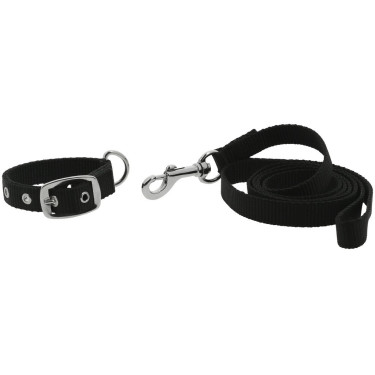 Collare e guinzaglio per cane Riding World Oscar Collare e guinzaglio per cane Riding World Oscar