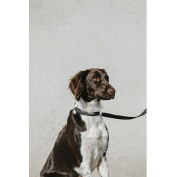 Collare per cane Equithème Nala