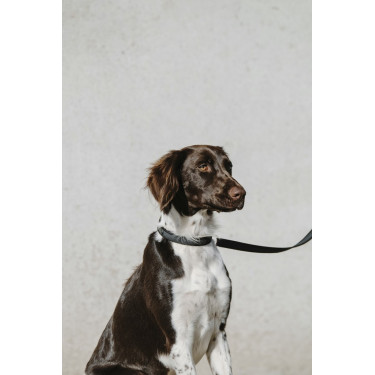 Collare per cane Equithème Nala