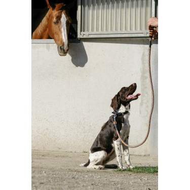 Guinzaglio per cane con maniglia Equithème Haspen Guinzaglio per cane con maniglia Equithème Haspen