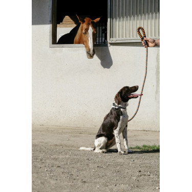 Guinzaglio per cane con maniglia Equithème Haspen Guinzaglio per cane con maniglia Equithème Haspen