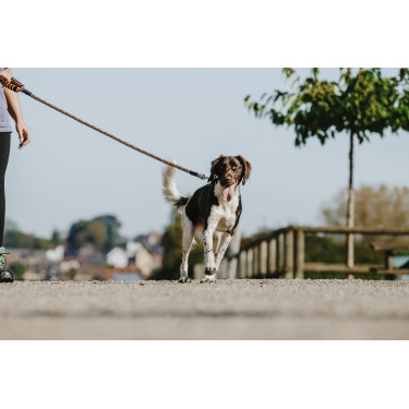 Guinzaglio per cane con maniglia Equithème Haspen Guinzaglio per cane con maniglia Equithème Haspen