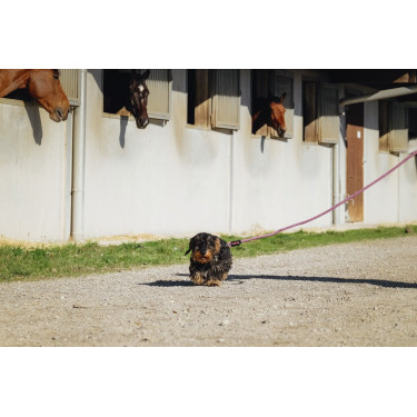 Guinzaglio per cane con maniglia Riding World Lucky Guinzaglio per cane con maniglia Riding World Lucky