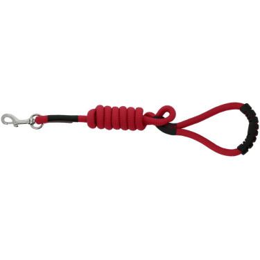 Guinzaglio per cane con maniglia Riding World Lucky Guinzaglio per cane con maniglia Riding World Lucky