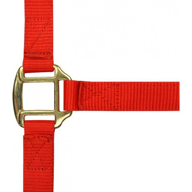 Capestro in nylon foderato in cuoio Norton Capestro in nylon foderato in cuoio Norton