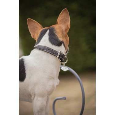 Collare per cane Pénélope Olie Collare per cane Pénélope Olie