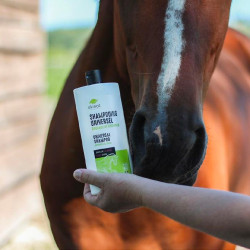 Shampoo Universale Ekinat Shampoo Universale Ekinat